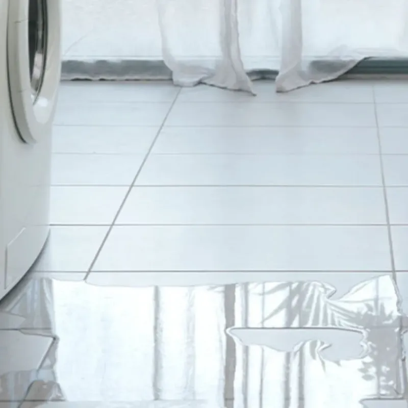 Appliance Leak Cleanup in Washington, IL