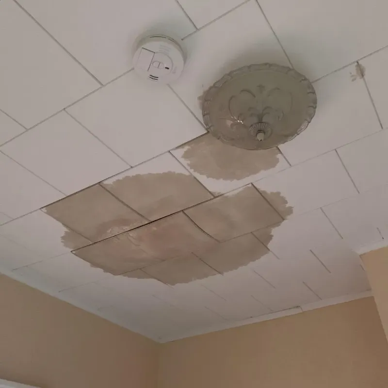 Ceiling Water Damage Repair in Washington, IL