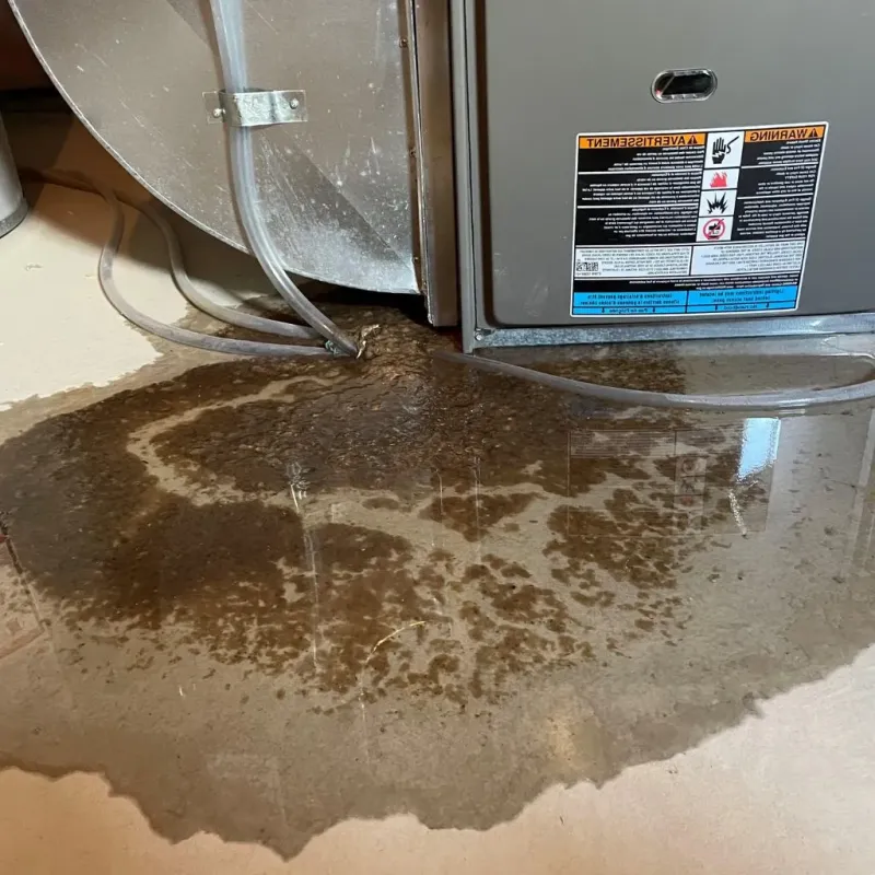 Pipe Burst and Leak Restoration in Washington, IL
