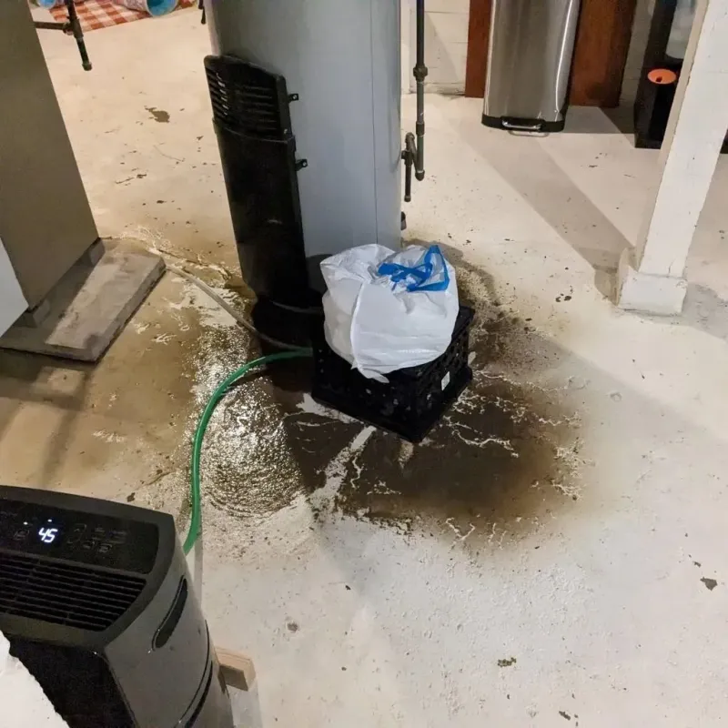 Sewage Backup Cleanup Service in Washington, IL